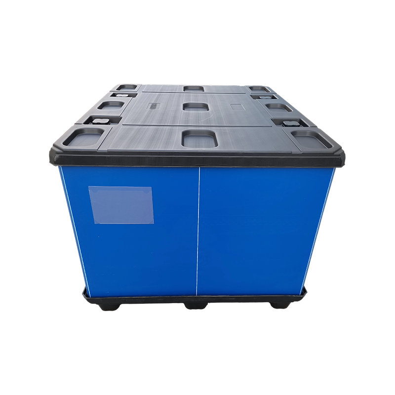 Thickened Impact-Resistant Foldable Collar Box